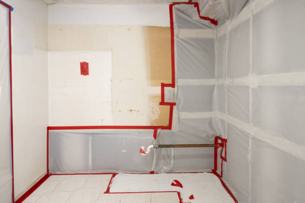 Best Attic Mold Removal  in Cottonwood Shores, TX